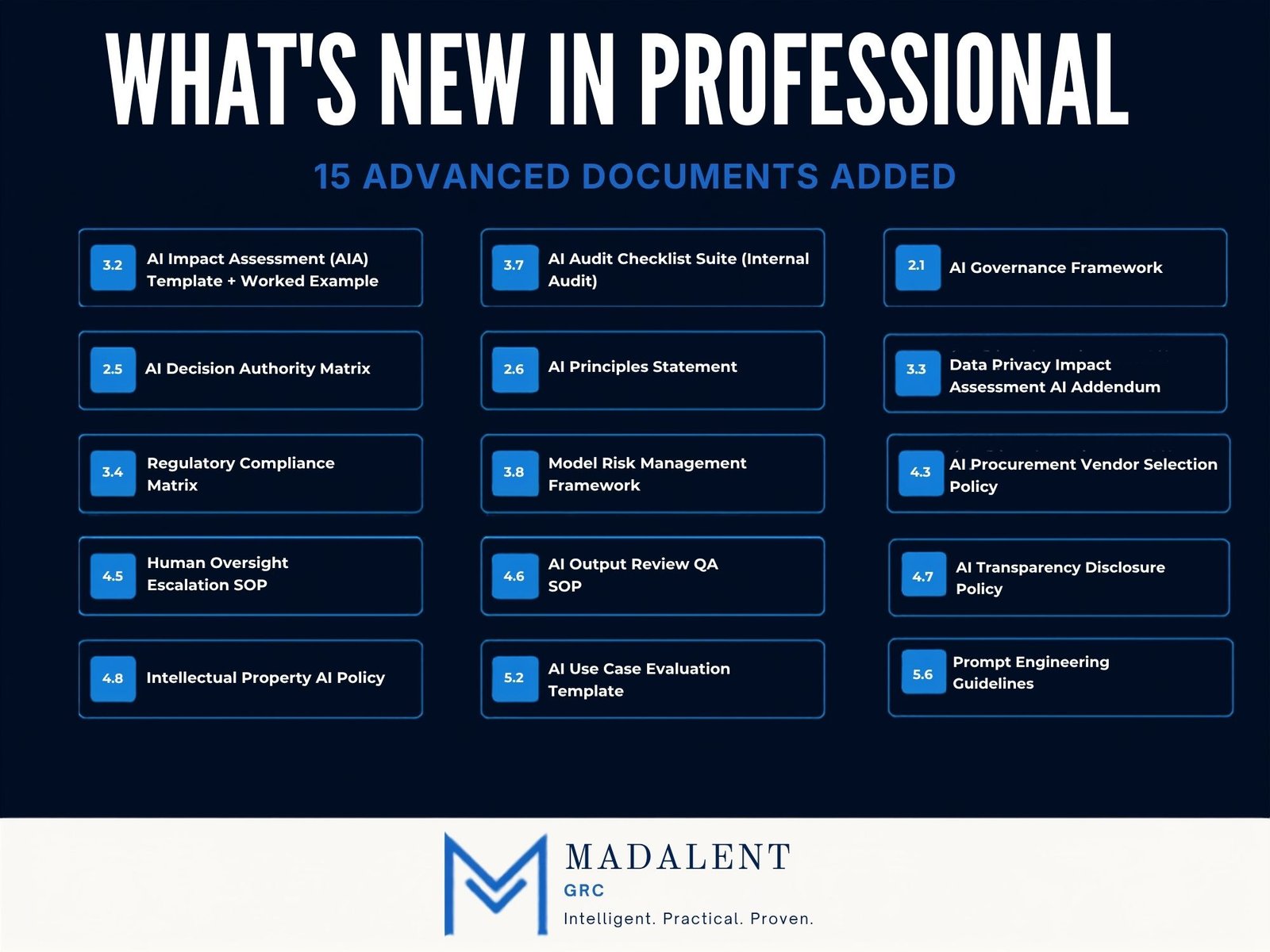 AI Governance Starter Toolkit — Professional - Image 3