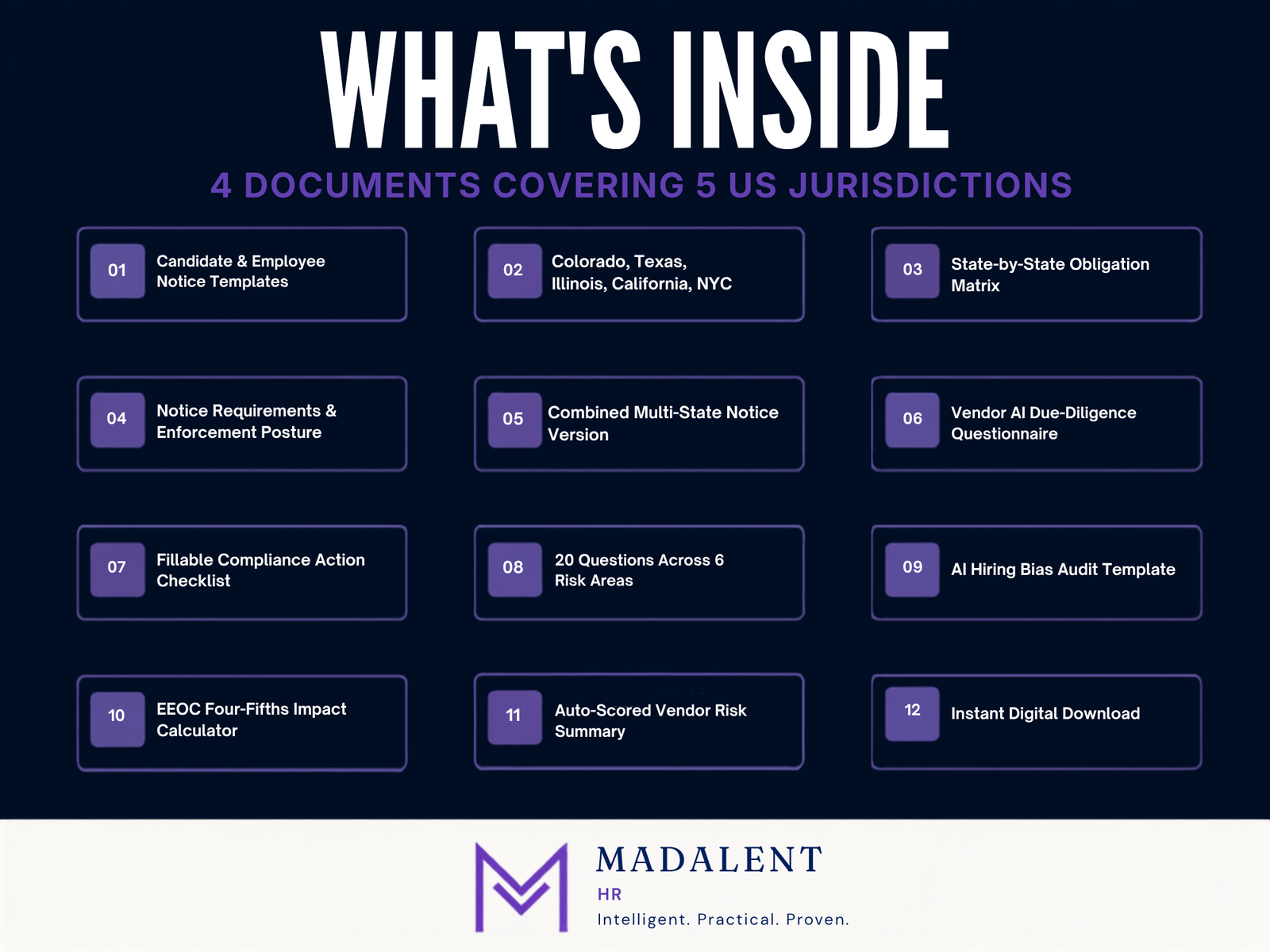 US Multi-State AI Employment Law Compliance Pack (~USD$99) - Image 2