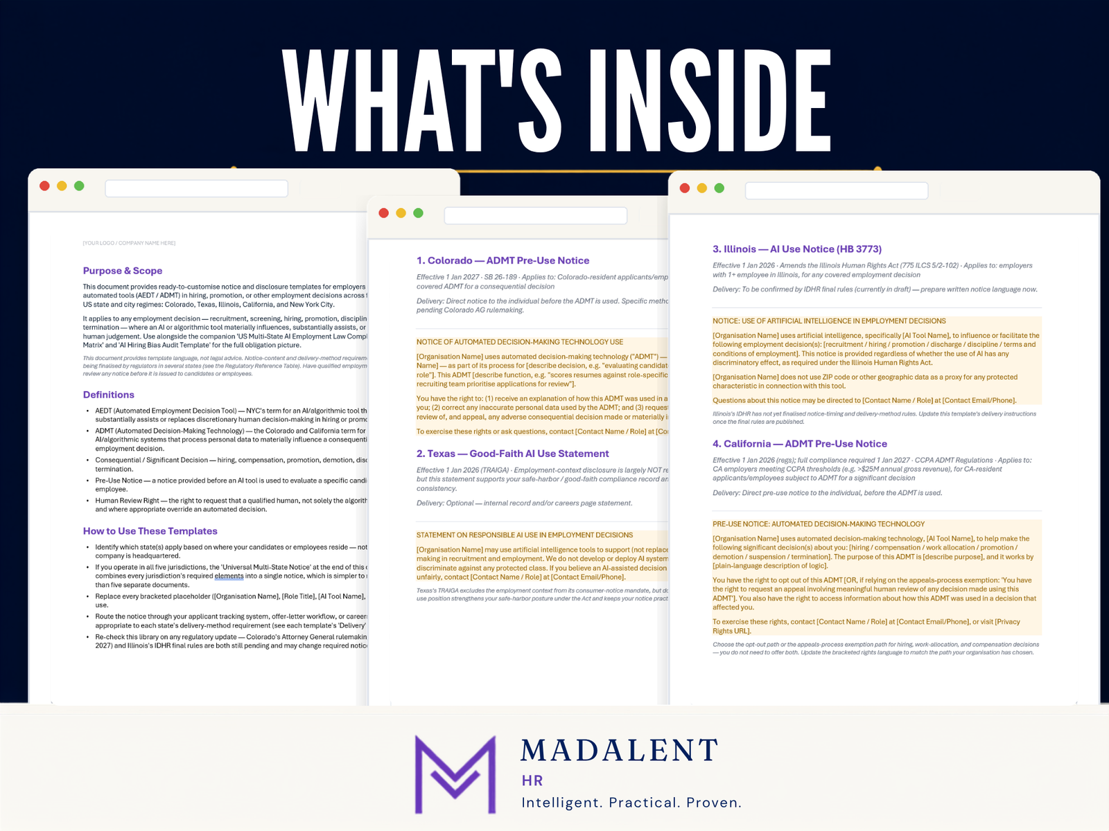 US Multi-State AI Employment Law Compliance Pack (~USD$99) - Image 3